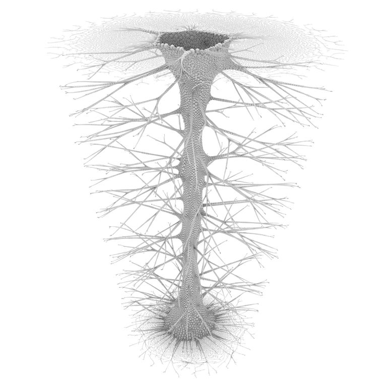 Constrained Form 17_0006_0291