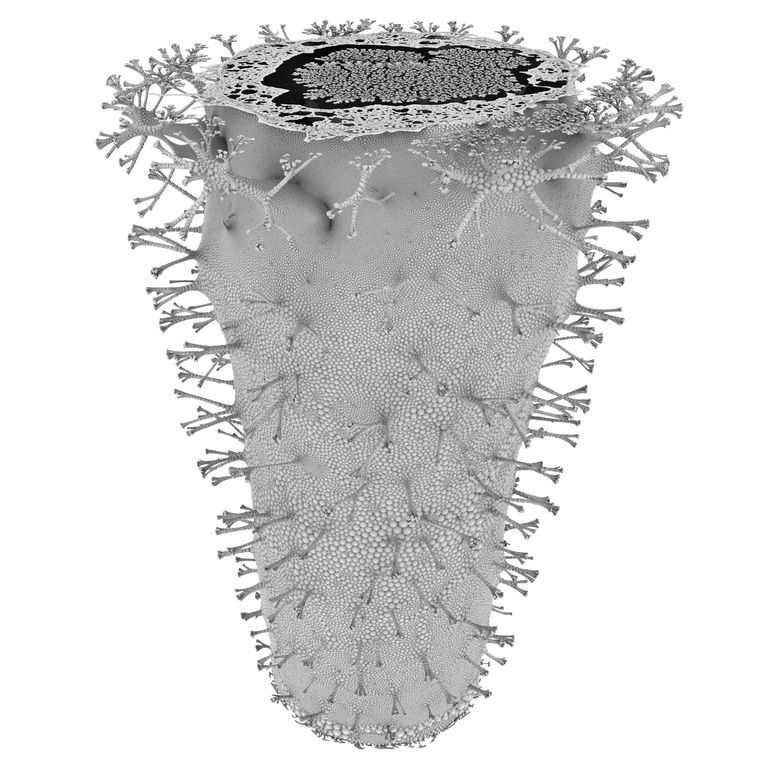 Constrained Form 17_0006_0383