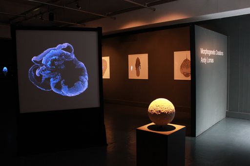 Morphogenetic Creations exhibition at Watermans