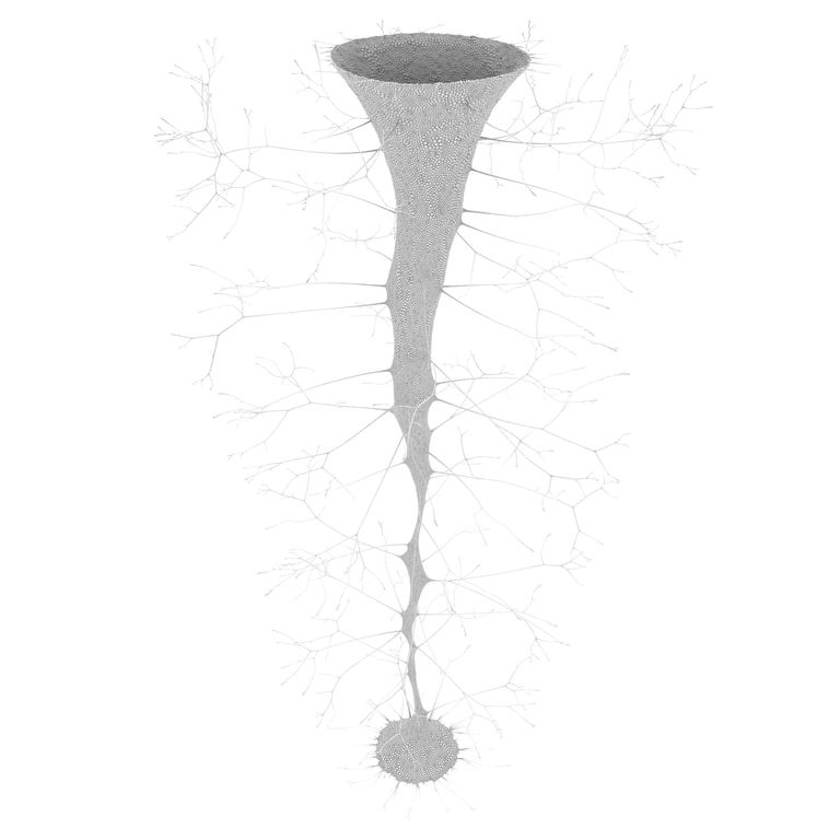 Mutant Vase Form 17_0005_0286