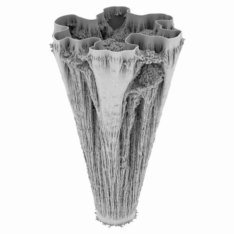 Vase Form 17_0020_1725_4